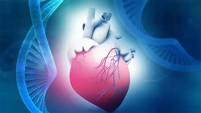 Bệnh tim có di truyền không? Sự thật bạn nên biết để chủ động bảo vệ tim mạch