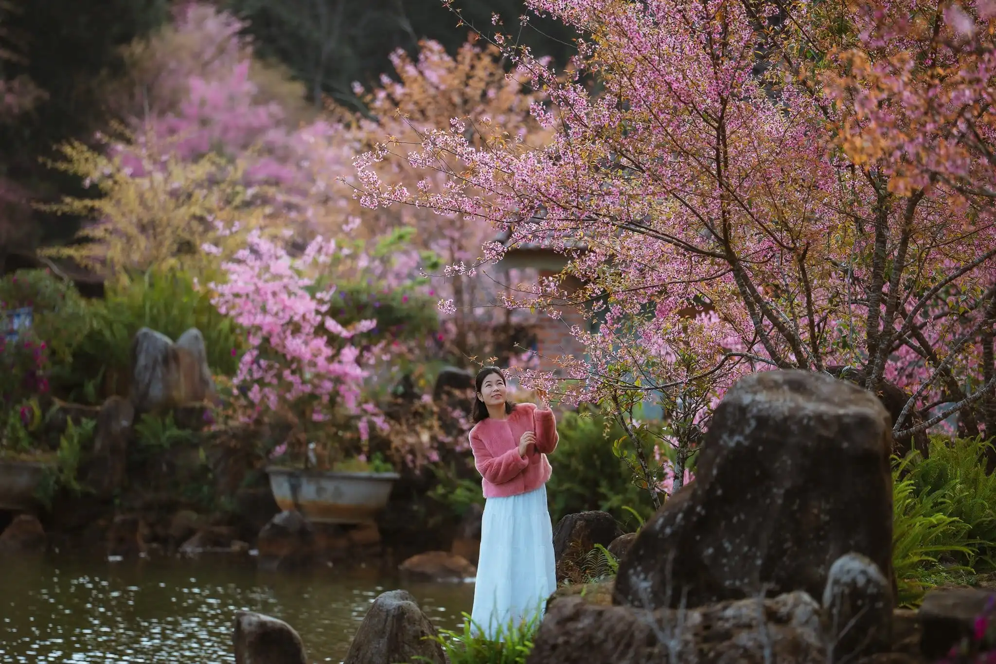 Một góc nhìn của người xưa về năm Bính Ngọ 2026 - 3